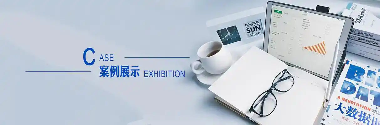 边坝县软件开发